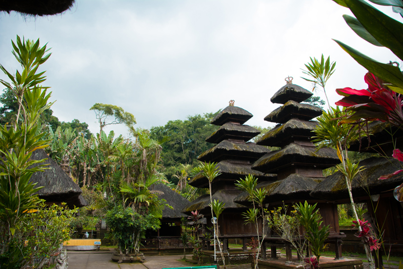 batukaru temple bali jungle