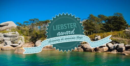 liebster award faim de voyages