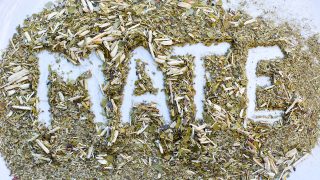 yerba mate boisson traditionnelle argentine preparation et consommation