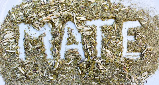 yerba mate boisson traditionnelle argentine preparation et consommation