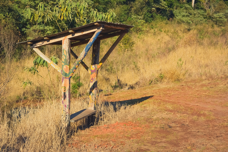 Réserve Yvytu workaway argentine region misiones arret de bus colectivo