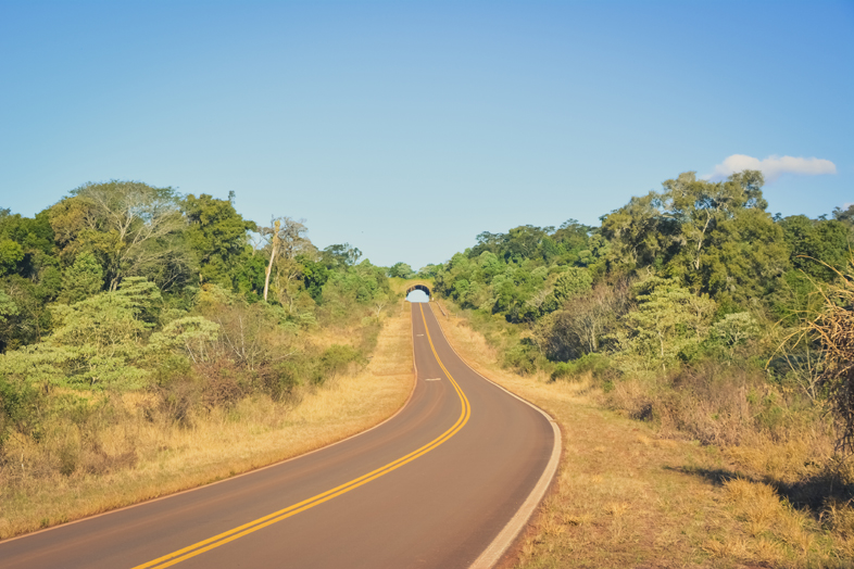 Réserve Yvytu workaway argentine region misiones pasafauna ecoducto