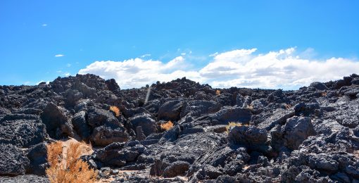 antofagasta de la sierra catamarca argentine lave et plantes arides postshow