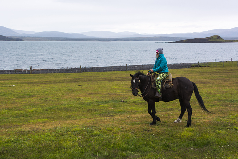 volontariat workaway puerto natales chili patagonie cecilia cheval