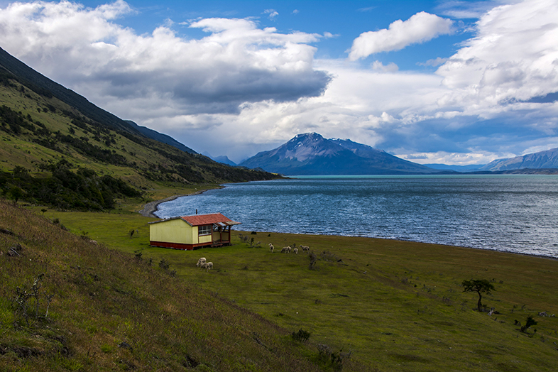 volontariat workaway puerto natales chili patagonie vue de la cabane avec les moutons