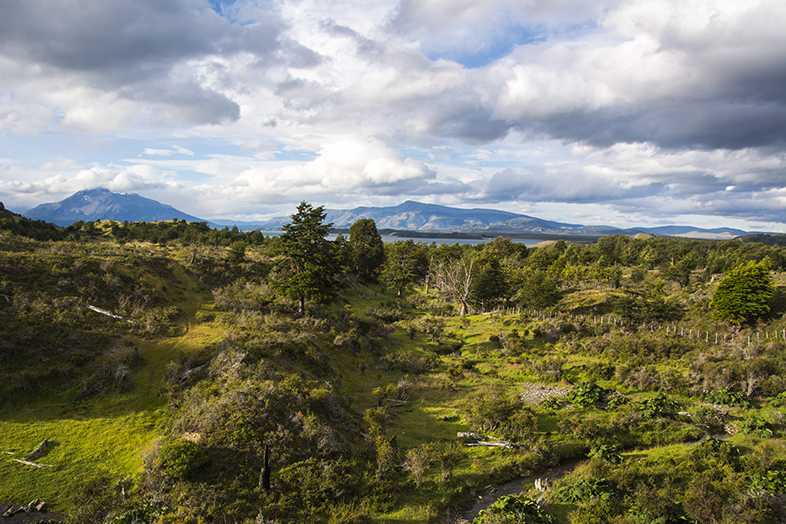 volontariat workaway puerto natales chili patagonie vue du cerro sur la baie