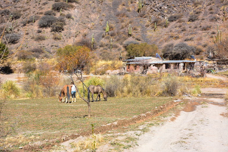 Quebrada de Humahuaca volontariat wwoofing la maison et les chevaux