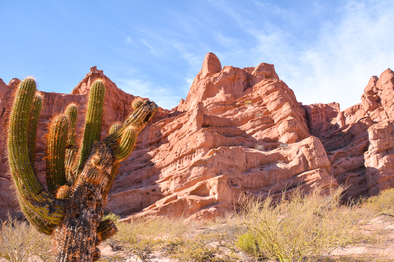 Roadtrip Salta Argentine boucle sud cactus formations rocheuses quebrada conchas