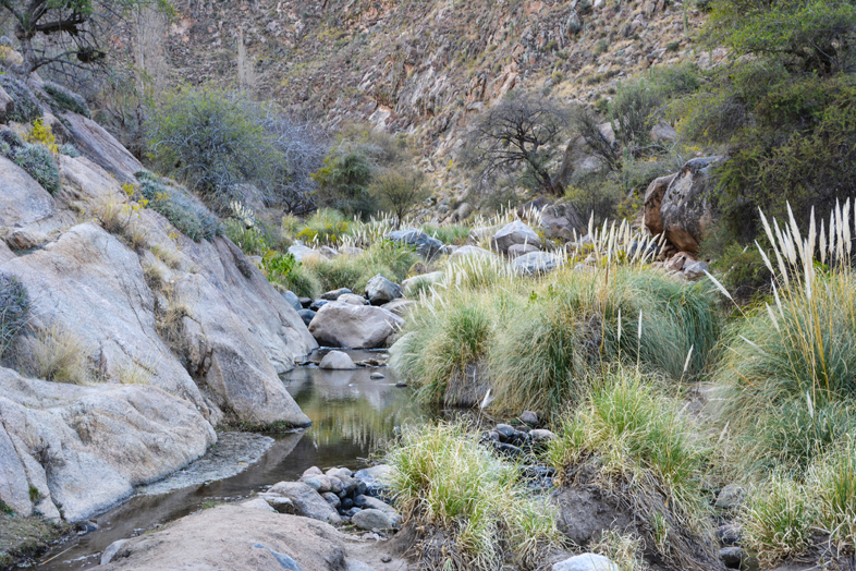 Roadtrip Salta Argentine boucle sud rio de los 7 cascadas Cafayate