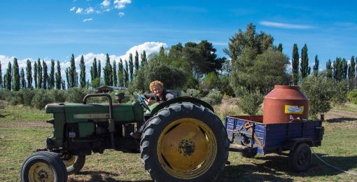 Wwoofing volontariat San Rafael Mendoza Argentine viticole vigne tim tracteur postshow