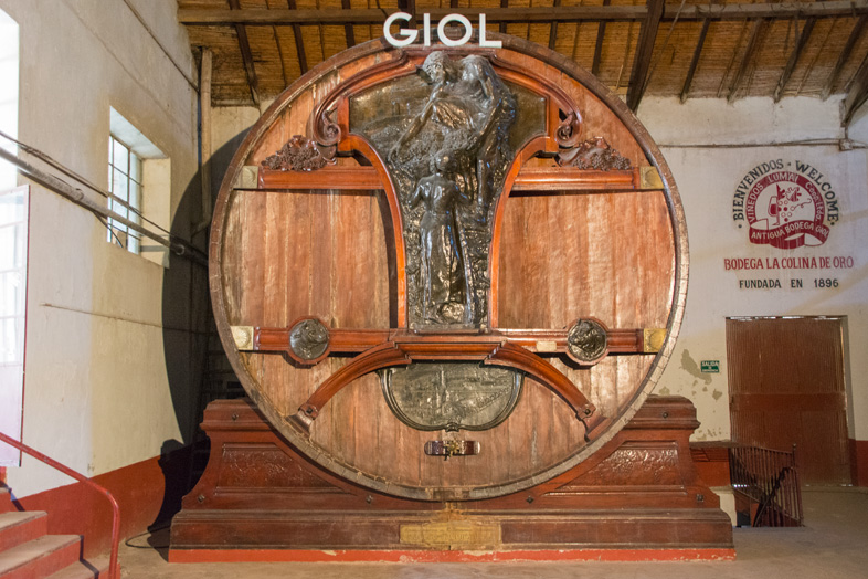 Mendoza un des plus grands tonneaux du monde en chene francais pour le vin vignoble bodega Giol Colina de Oro