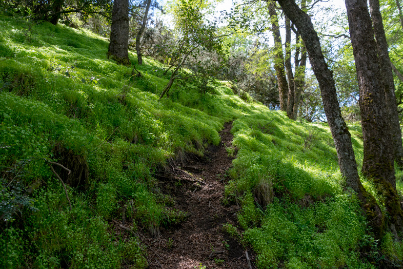 san martin de los andes chemin randonnee trekking islita