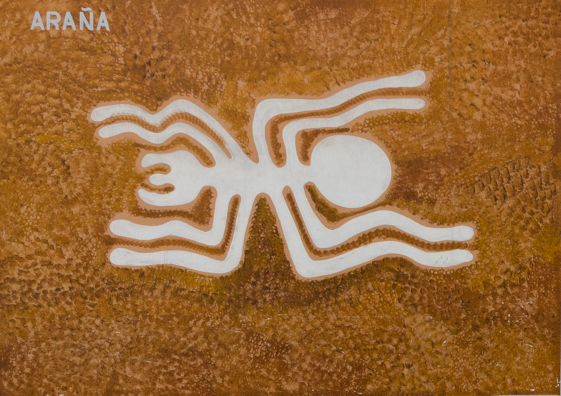 araigné lignes de nazca