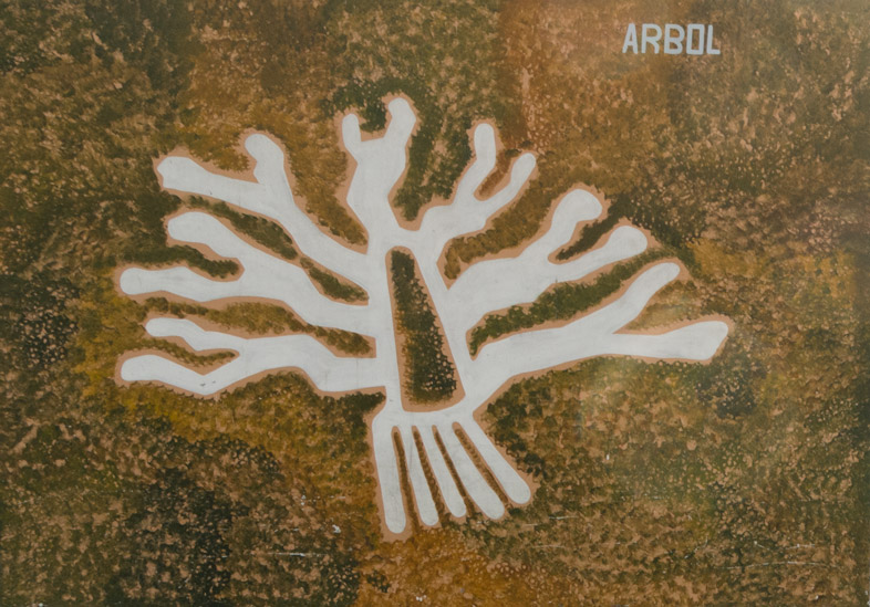 arbre lignes de nazca perou
