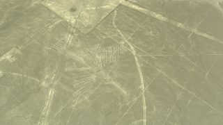 chaucato condor lignes de nazca perou voyage