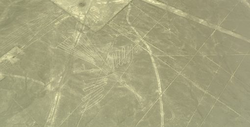 chaucato condor lignes de nazca perou voyage