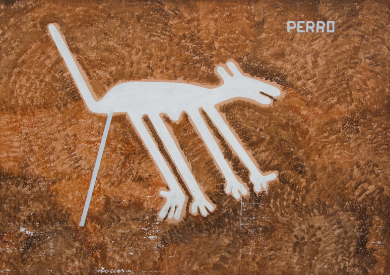 chien lignes de nazca perou