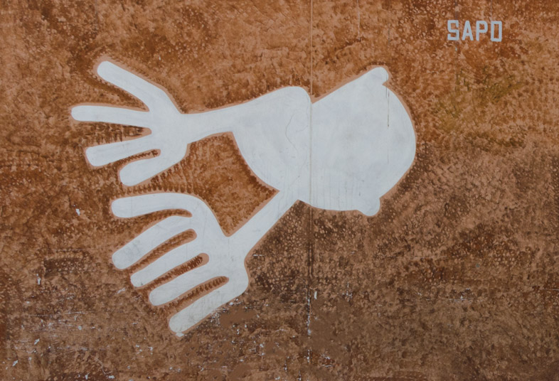 crapaud lignes de nazca perou