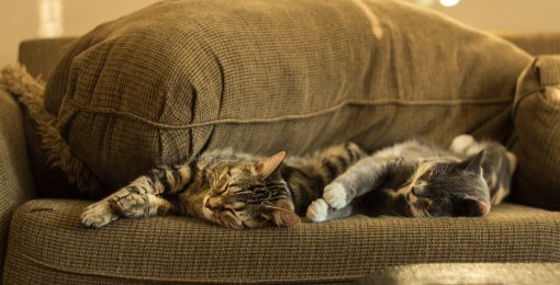 postshow couchsurfing astuce profil debutant