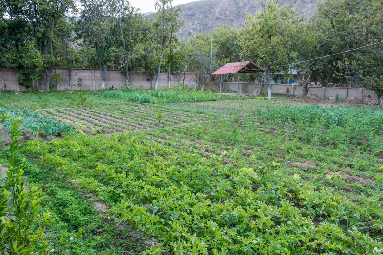 volontariat permaculture jardin workaway bolivie sucre