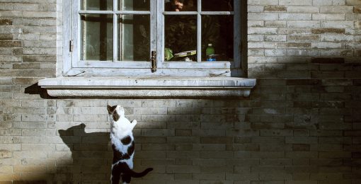 conseil guide couchsurfing trouver un hote astuce