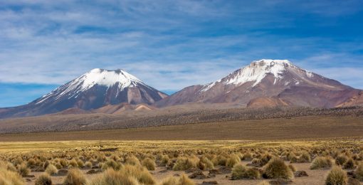 Postshow Le Volcan Parinacota (6 348 M) Et Le Pomerape (6 282 M D’altitude) Dans Le Parc Sajama En Bolivie
