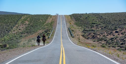Deux Gauchos à Cheval Alors Que Nous Faisons Du Stop Sur La Route Postshow