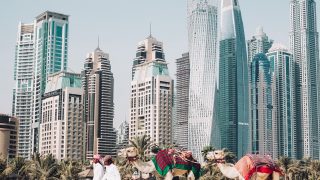 Hommes Avec Chameaux Dans Le Desert Pres De Dubai1
