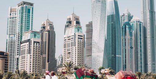 Hommes Avec Chameaux Dans Le Desert Pres De Dubai1