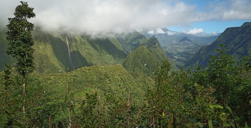 Paysage Ile De La Reunion