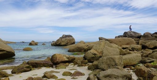 Paysage En Bretagne