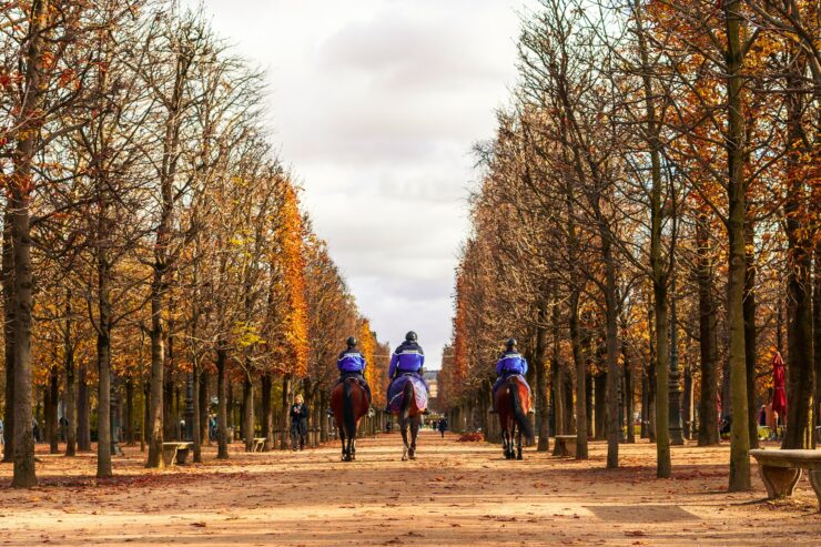 Jardin Des Tuileries En Automne