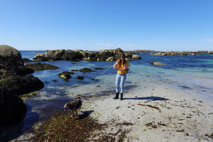 Photo En Bretagne Avec Chien