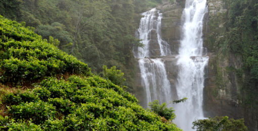 Cascade Ramboda Ile Du Sri Lanka