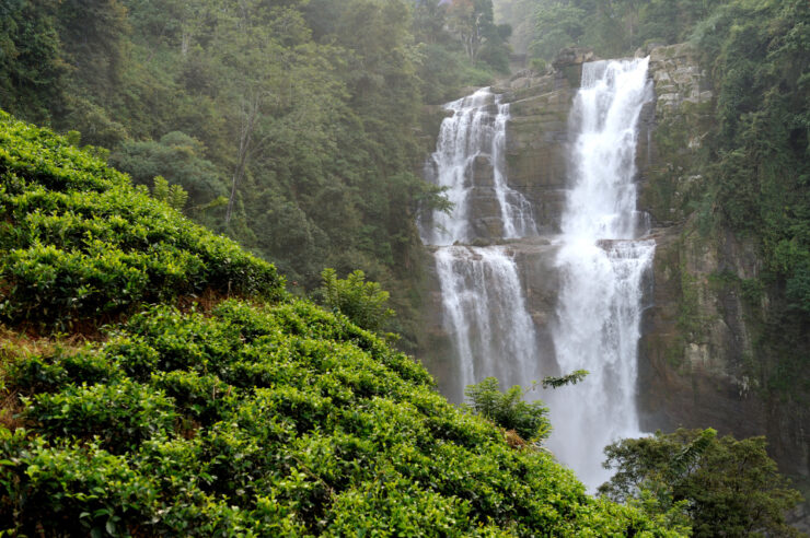 Cascade Ramboda Ile Du Sri Lanka