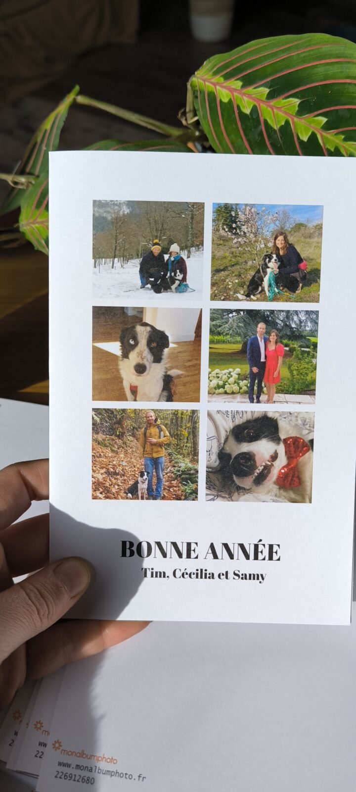 Devant Carte De Voeux
