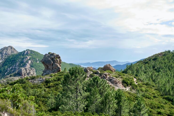 Parc Naturel En Corse