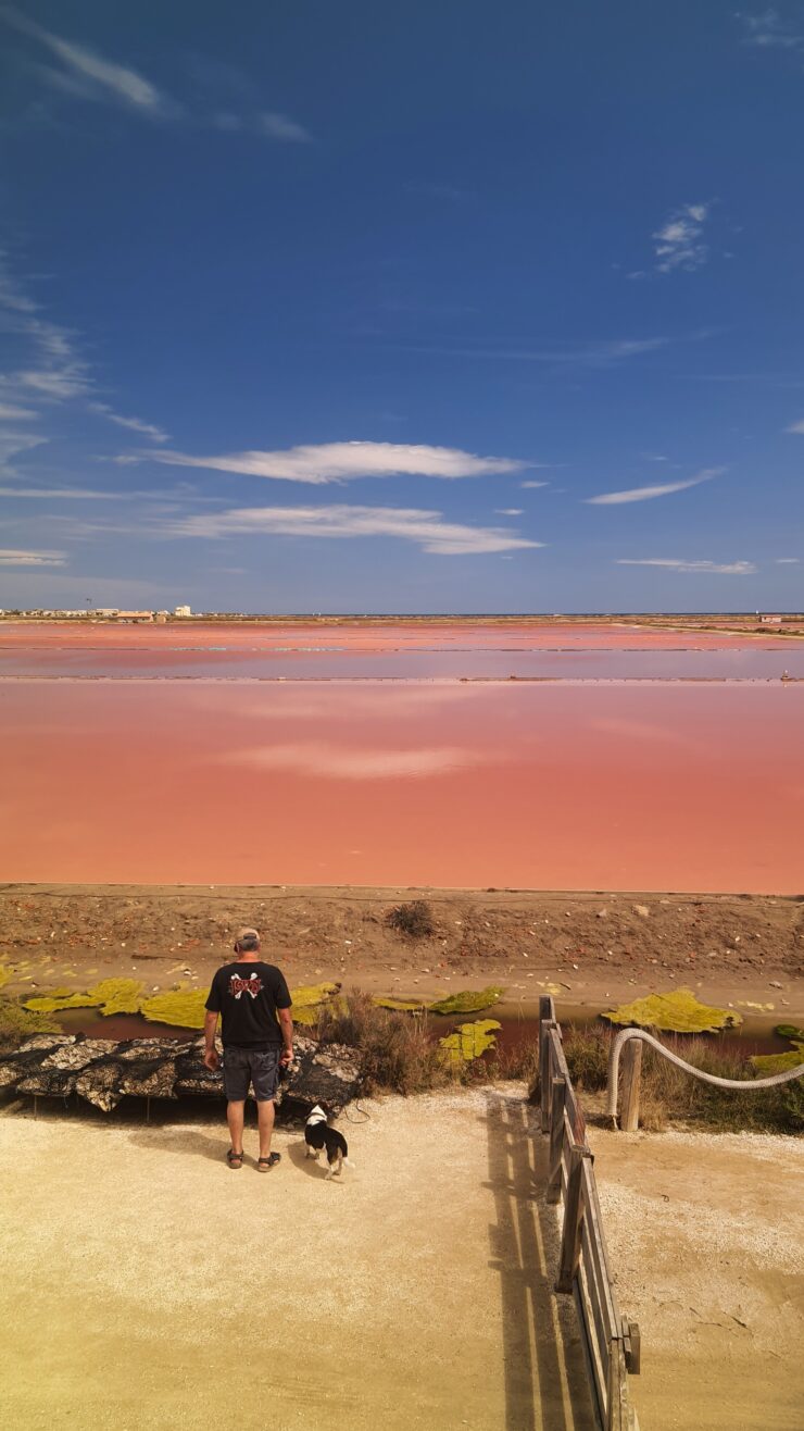 Salin De Gruissan Rose