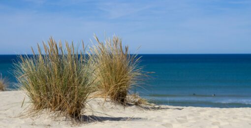 Sable D'olonne Plage