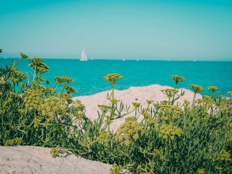 Mer Ile De Re 1