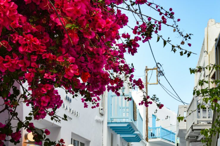 Balade Dans Mikonos Avec Batiments Blanc