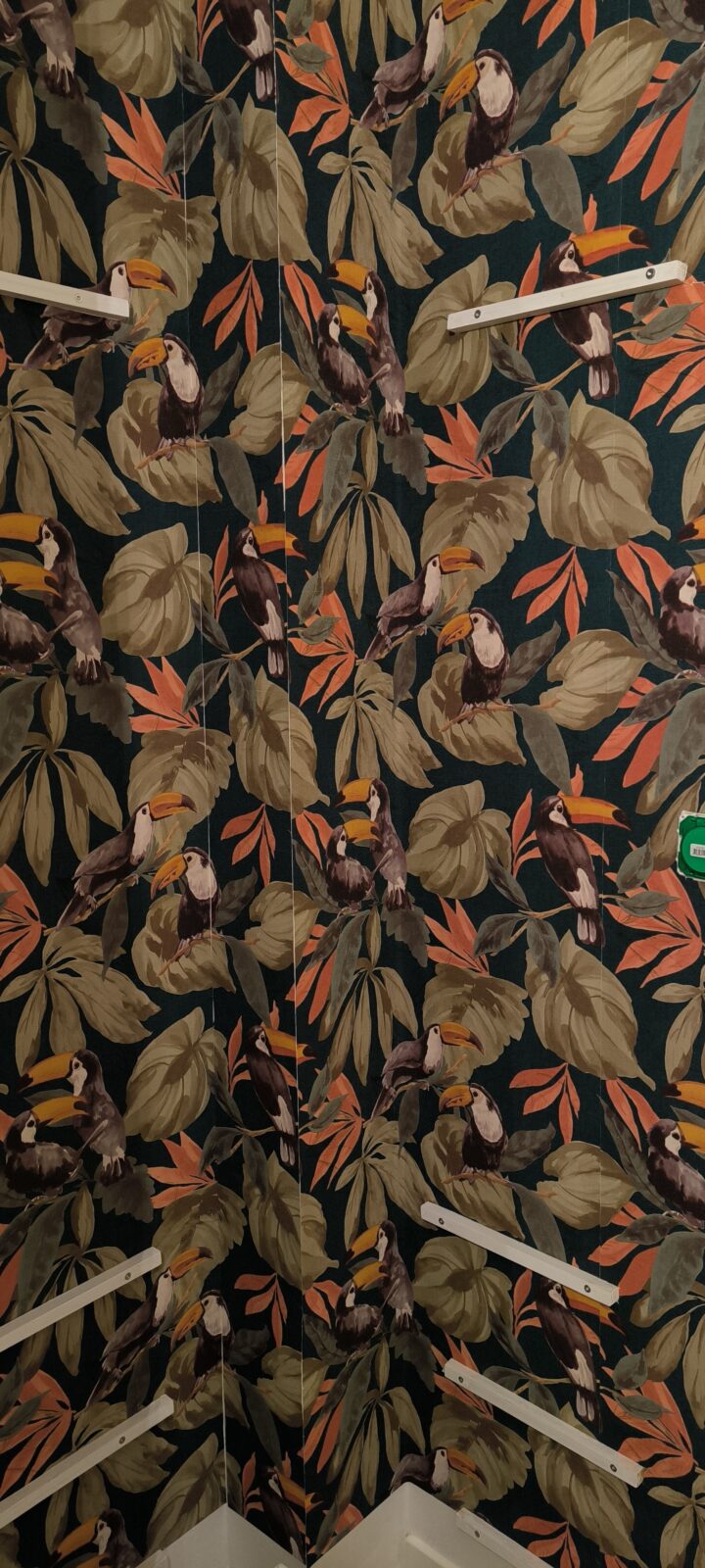 Papier Peint Avec Toucan Pour Dressing