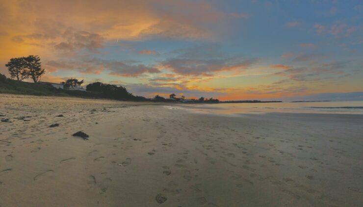 Paysage De Vendee