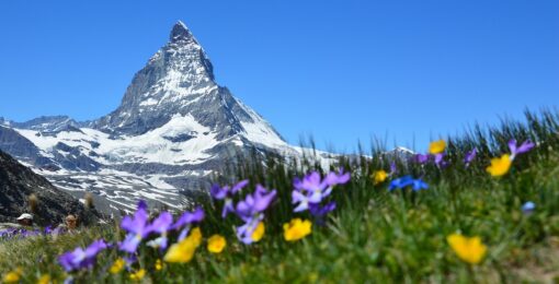 Zermatt Montagne En Suisse Printemps