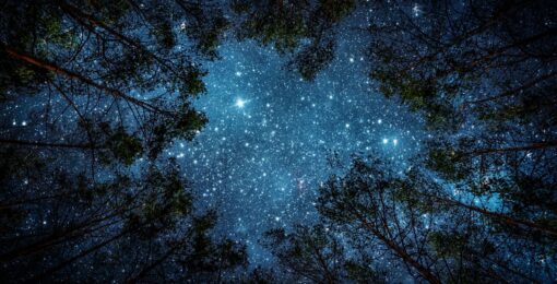 Dormir A La Belle Etoile Avec Ciel Etoile
