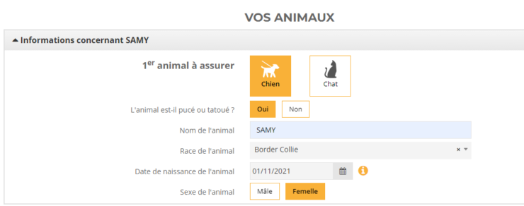 Formulaire Assurance Chien