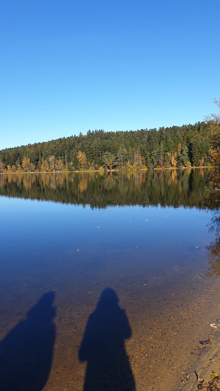 Au Bord Du Lac En Automne