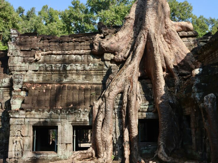 Ankor Temple