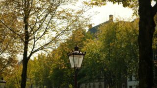 Luminaire Dans Paris