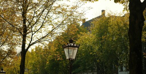 Luminaire Dans Paris
